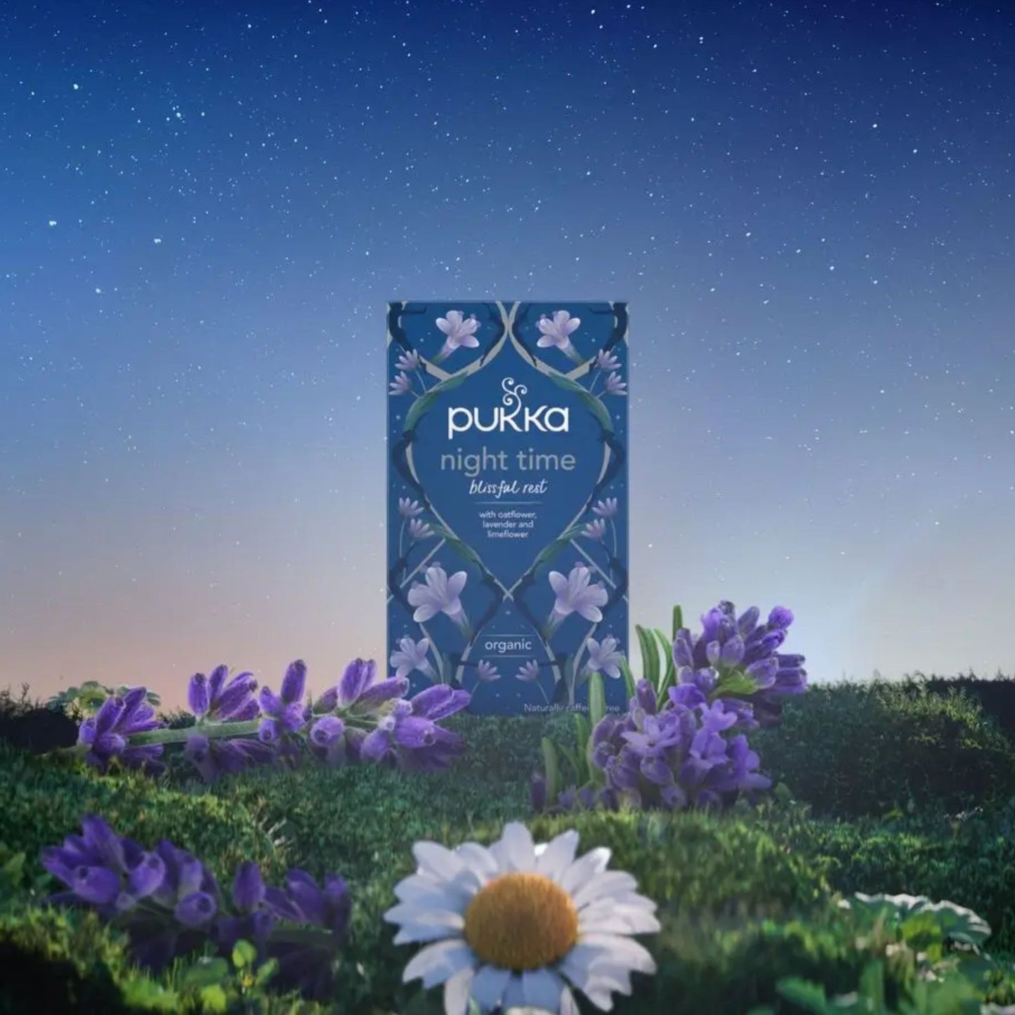 Night Time Tea by Pukka